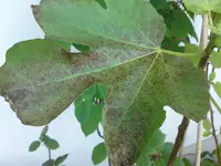 DSC03019.webp