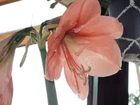 DSCF1875.webp