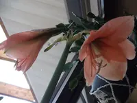 DSCF1877.webp