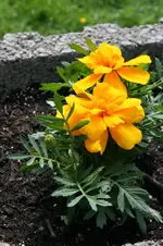 20120602_2239.webp