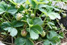 20120602_2241.webp