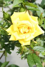 20120602_2243.webp