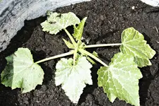 20120602_2244.webp