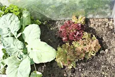 20120602_2245.webp