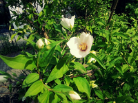 20120602172519.webp