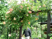 CIMG0253.webp