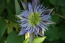 Cystal Fountain (2).webp