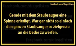 Spinne-Staubsauger.webp