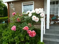 ostern und blumen 039.webp