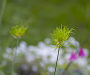 IMG_1852.webp