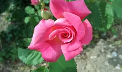 2012-06-02 10.16.37.webp