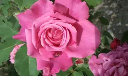 2012-06-02 10.16.48.webp