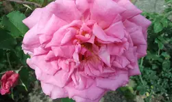 2012-06-02 10.16.59.webp