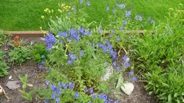 K800_3.6.2012 007.webp