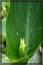 comp_DSC01738.webp