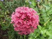 047.webp