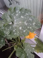 2012-06-03 21.30.34(1).webp