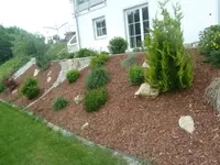 P1010910.webp