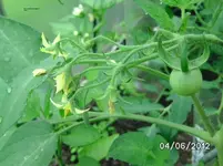 BILD0226.webp