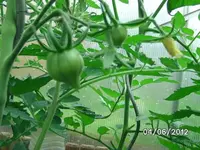 BILD0232.webp