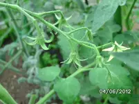 BILD0237.webp
