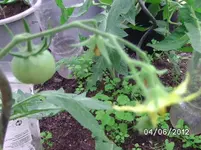 BILD0238.webp