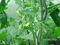 BILD0239.webp