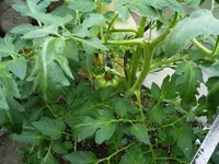 k-PICT0124.webp