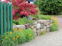 Mäuerchen an der Straße_smaller.webp