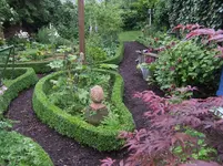 Buchs 2.webp