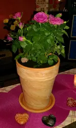2012-06-04 19.35.56 (Large).webp