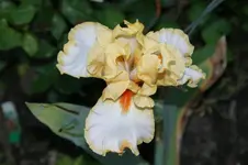 DSC08081.webp