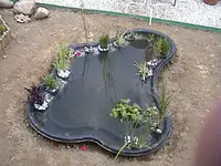 Gartenteich1jahr2.webp
