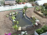 Gartenteich1jahr3.webp