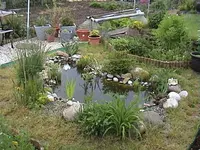 Gartenteich2jahr.webp
