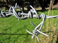 Stacheldraht (1).webp