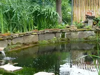 Ufermattensaat (4).webp