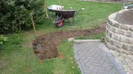 BachBau4_12.webp
