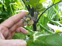 PICT0124.webp