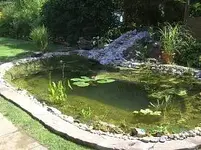 BILD0084.webp