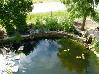 Teich von oben (3).webp