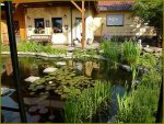 TEich.JPG