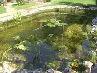 BILD0097.webp