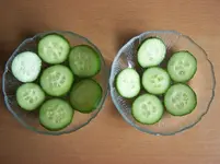 erste Gurkenmahlzeit.webp