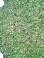 2012-06-05 14.36.28.webp