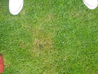 2012-06-05 14.36.39.webp
