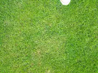 2012-06-05 14.36.48.webp