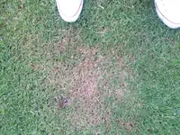 2012-06-05 14.37.18.webp