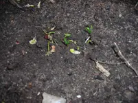 DSCN6307.webp