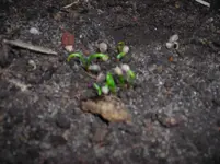 DSCN6309.webp